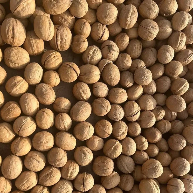 product-800-800 product-800-800